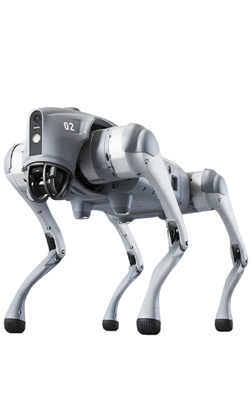 TechCadd After 12th Courses